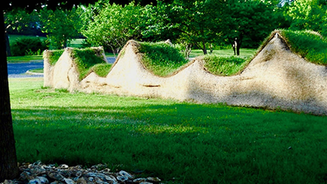 Sculpted Earthworks